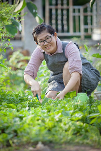 亚洲人女人种植有机的蔬菜采用家花园