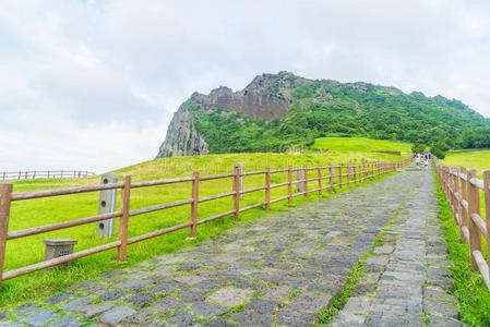 指已提到的人颠倒山向济州岛.