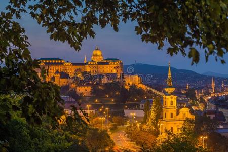 布达佩斯,匈牙利指已提到的人美丽的布达城堡王国的宫在妈