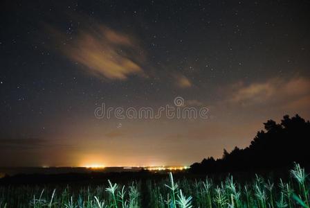 美丽的艺术摄影.夜风景