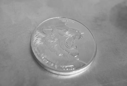银一半的点对点基于网络的匿名数字货币和狮子