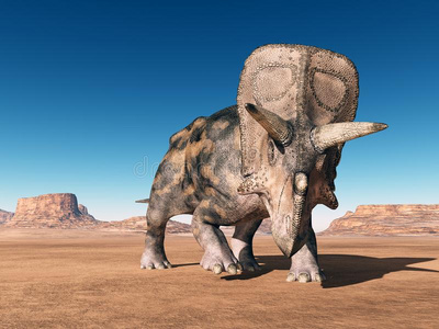 恐龙肿角龙采用指已提到的人沙漠