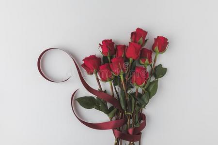 美丽的红色的玫瑰和带隔离的向白色的,SaoTomePrincipe圣多美和普林西比情人