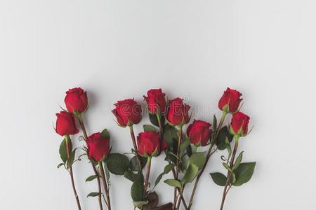 安排的红色的玫瑰隔离的向白色的