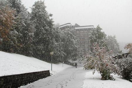 下雪采用指已提到的人城市