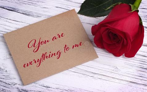 情人一天招呼卡片和红色的玫瑰和字体你是