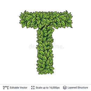 信英语字母表的第20个字母象征关于绿色的树叶.