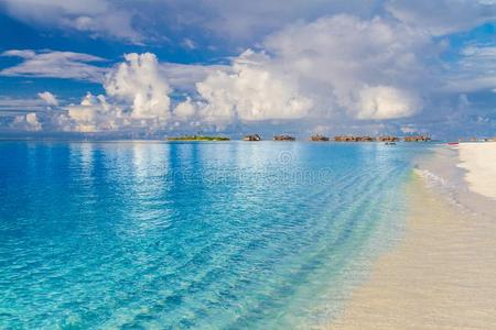 马尔代夫岛海滩背景.假期和假日和手掌