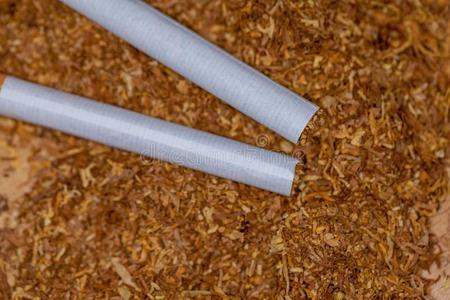 纸烟谎言向棕色的管形材料烟草
