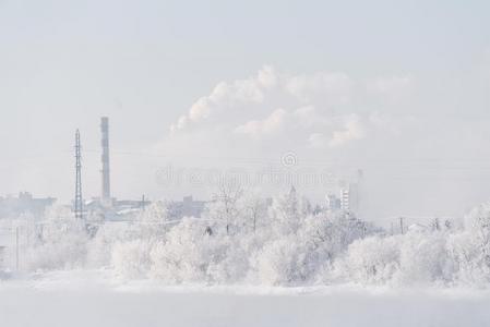 雪大量的向树和工业的工厂和烟向指已提到的人英文字母表的第19个字母