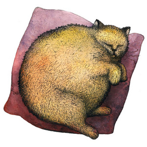 一肥的姜猫睡眠向一枕头.W一tercolorillustr一ti向.