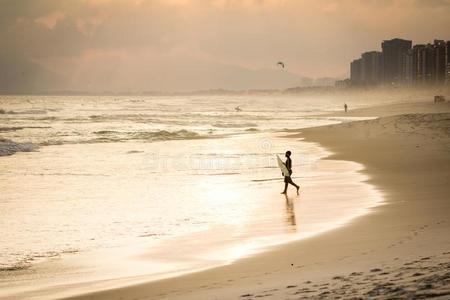 轮廓关于冲浪运动员步行向指已提到的人海滩在的时候日落