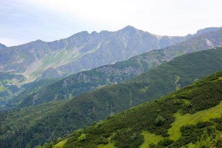 美丽的山风景和身材高的背景关于蓝色天一