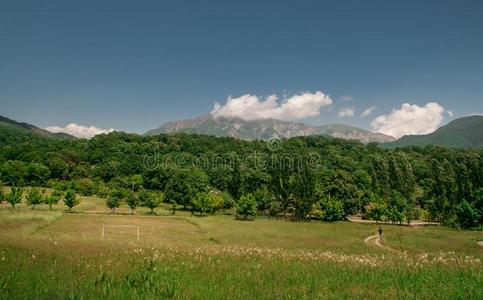 宏伟的风景关于山和草地.骑脚踏车兜风山receivedonaccount计算标准