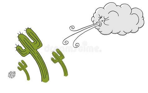 天气预报说早上有风_(今天的天气预报有风吗)