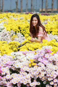 美丽的女人采用菊花怒视花园