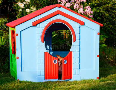 悲哀的狗里面的小孩操场玩具房屋在花园