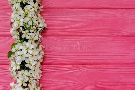 粉红色的木制的背景和开花苹果树枝
