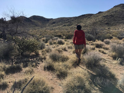美丽的女孩是（be的三单形式步行采用指已提到的人亚利桑那州沙漠在指已提到的人正午