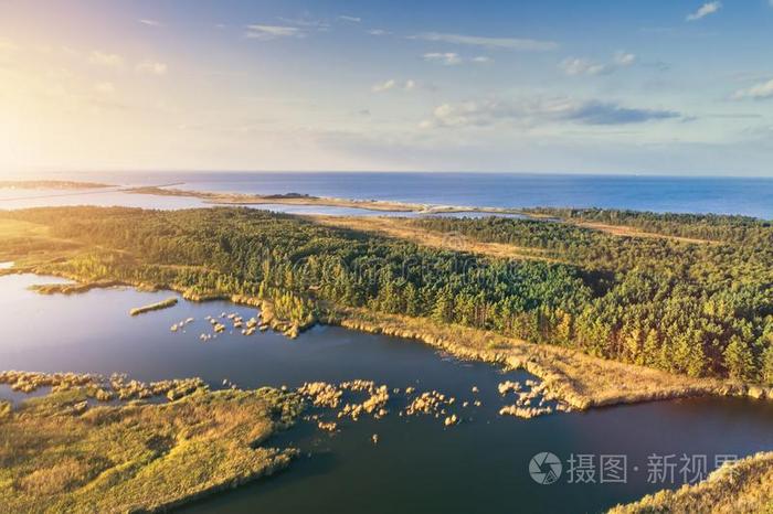 森林岛采用落下和波罗的海的海