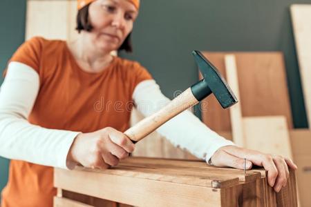 女性的木工锤打钉子进入中木制的板条箱插画