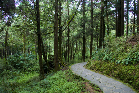 阿里山