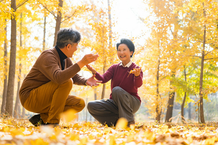 在银杏林散步的老年夫妻