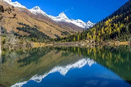 双桥沟四姑娘山