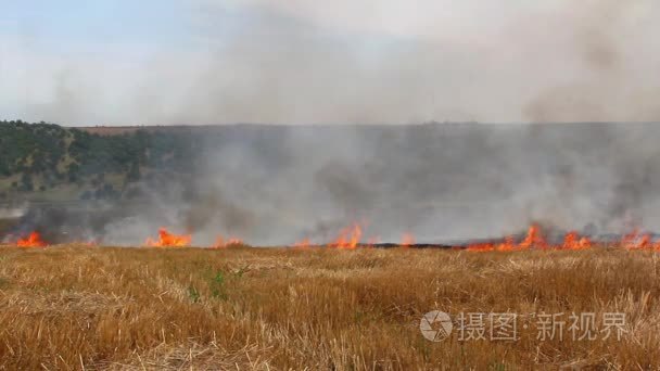 田野燃烧