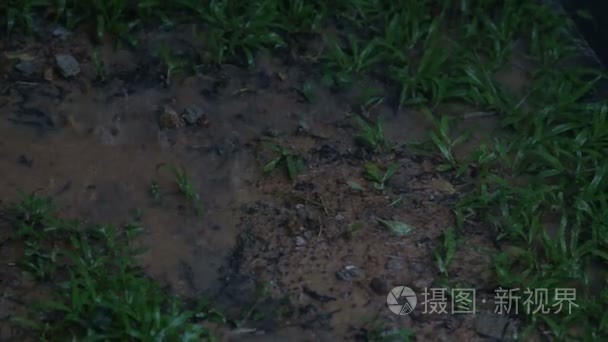 在热带地区的水瓢泼大雨视频