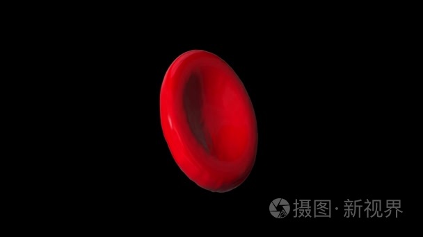 单红血细胞旋转无缝环视频