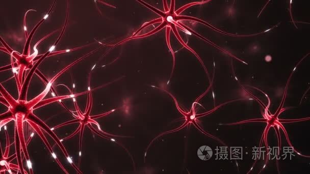 神经元形成一种神经网络视频