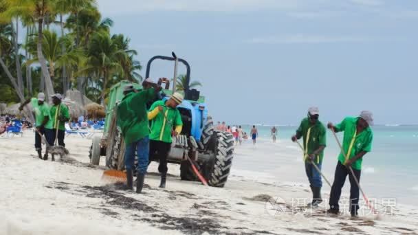 清洁工从海杂草的海滩视频