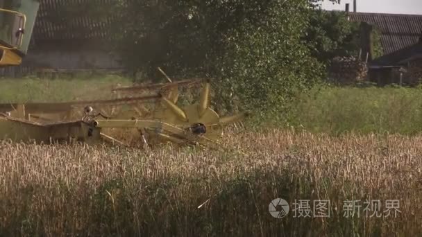 农场农机收割谷物的麦田在夏天视频