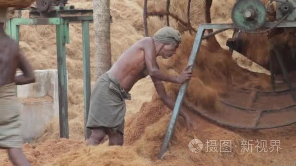 印度男子扔椰子纤维视频