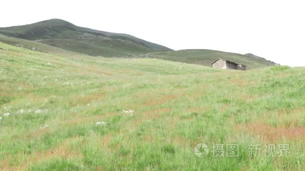 夏天山风景视频