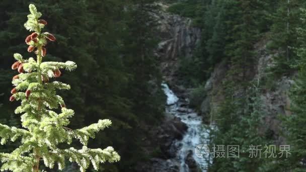 在科罗拉多州的天然瀑布视频