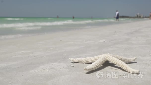 在一个美丽的度假海滩上的海星视频