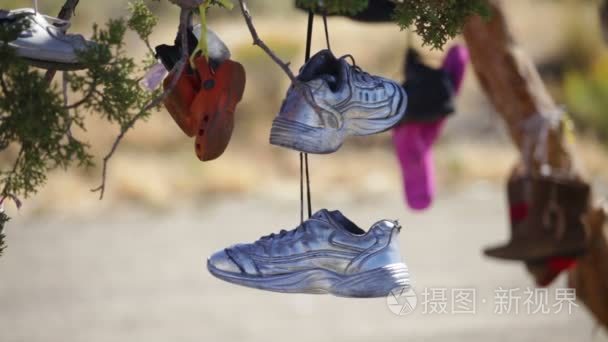 很多双鞋子挂在一棵树上视频