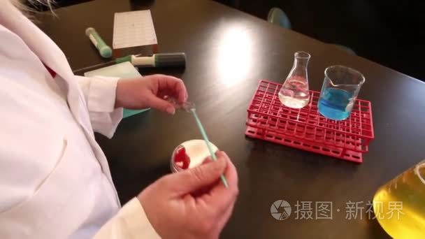 实验室技术员涂抹培养皿视频