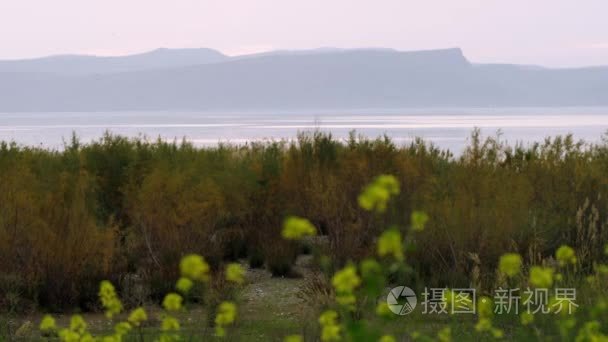 在以色列加利利海的岸边