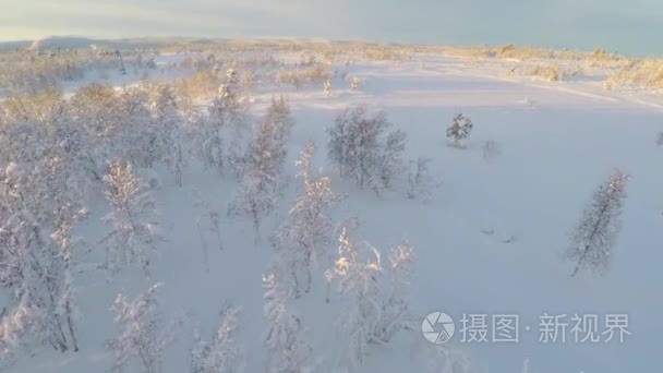 飞越那被雪覆盖的平原地区山视频