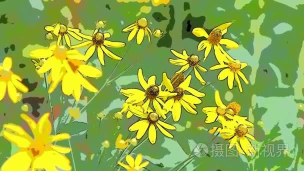 明亮的黄色黑心花卉素材背景视频