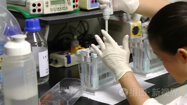 女科学家测试蛋白质样品视频