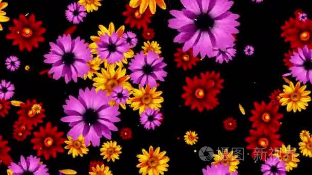 色彩鲜艳的花卉背景视频