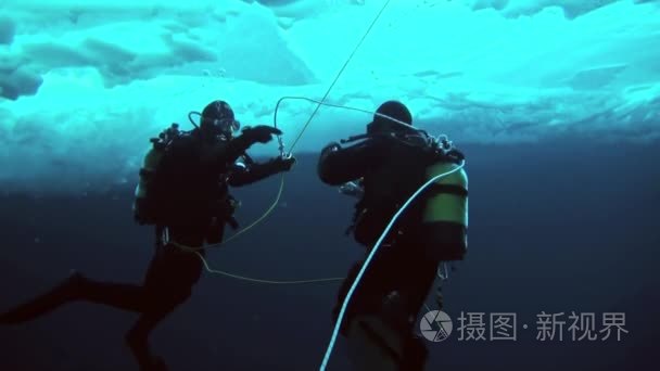 在北极在地理北极的水肺潜水视频