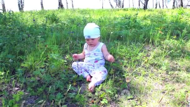 宝宝匍匐在谷物的字段视频