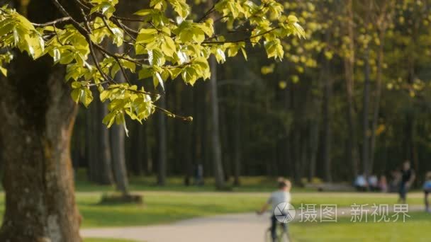 模糊的背景的人在公园的活动视频