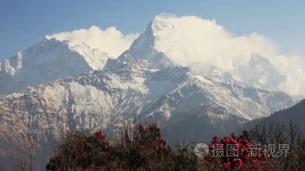 道拉吉里杜鹃时间流逝视频