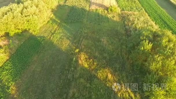 乌克兰在日落时字段的鸟瞰图视频